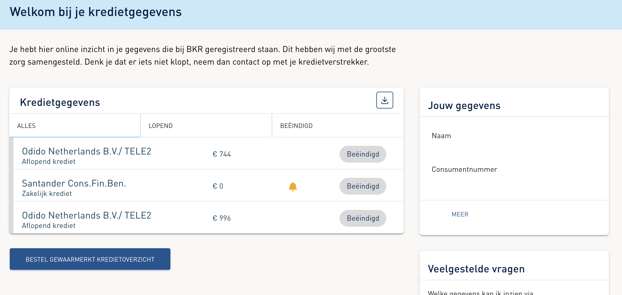 Kredietoverzicht met alle registraties